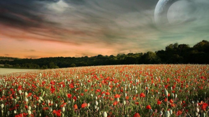 金融的本质是经营风险